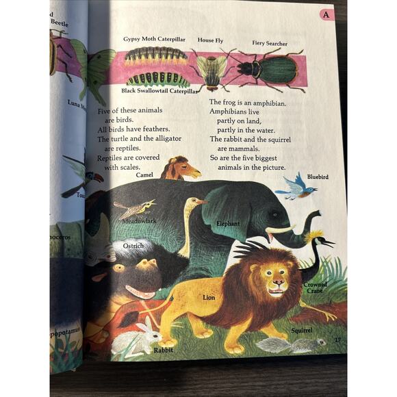 My First Golden Encyclopedia 1971 Edition Complete In One Volume Children’s Ed - Picture 9 of 14